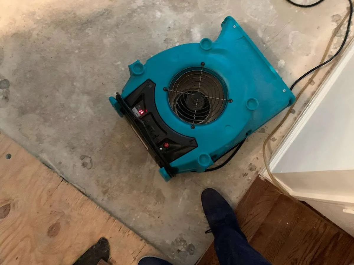 Air mover drying subfloor during Leak Detection & Repair in Dumbarton